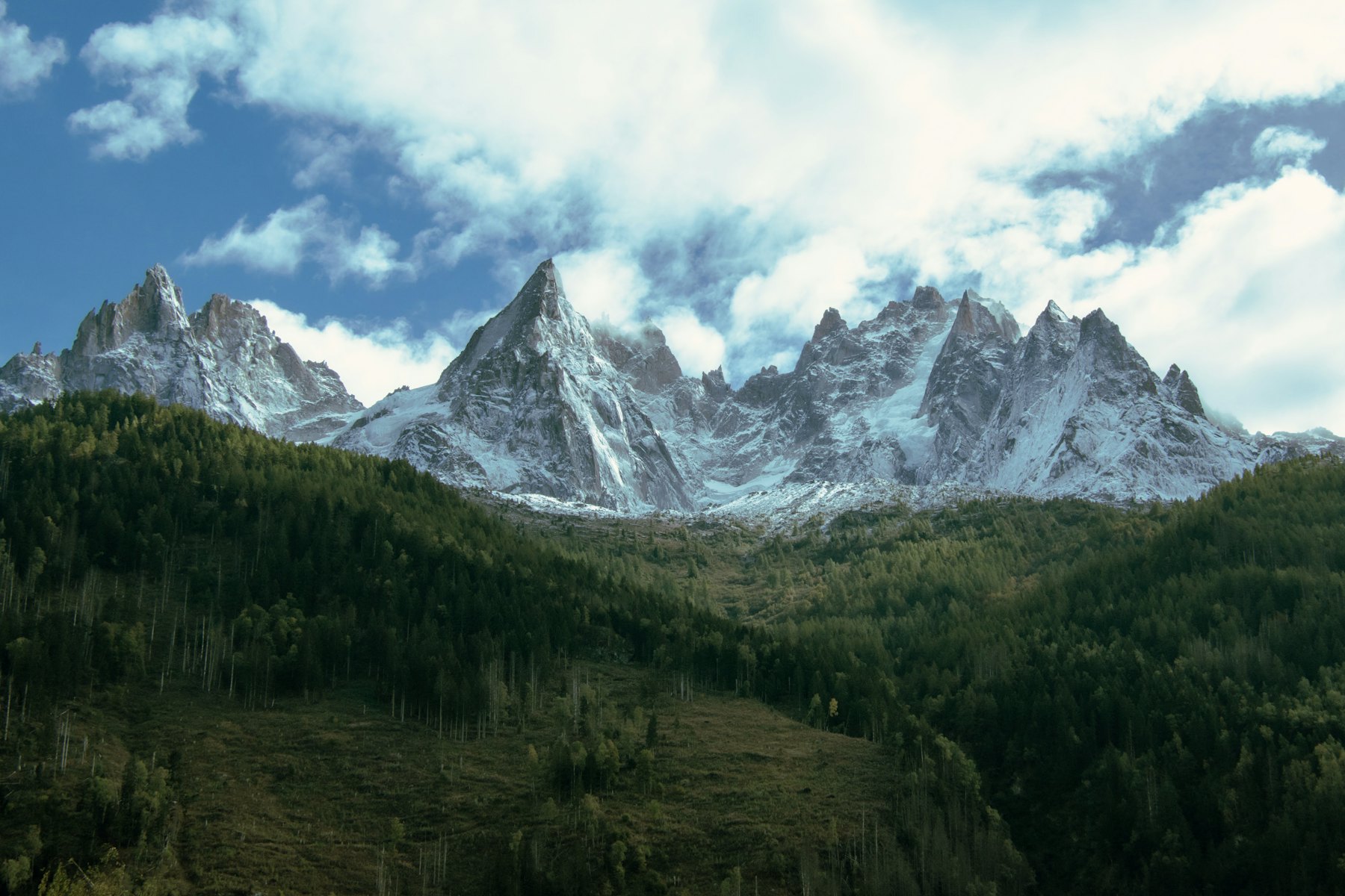 Sommets et forêts du Pays du Mont-Blanc